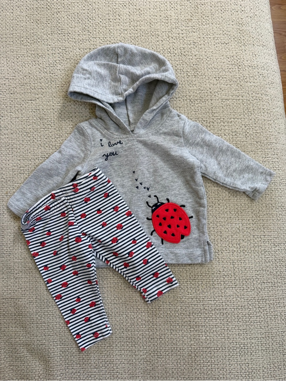 Gray Hooded Kids Top with Red Ladybug Applique